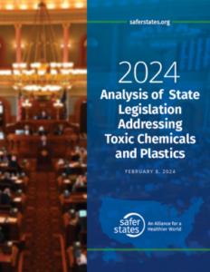 Cover page of Safer States' 2024 Multistate Analysis