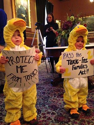 Vermont Toxic-Free Families Act kids as ducks