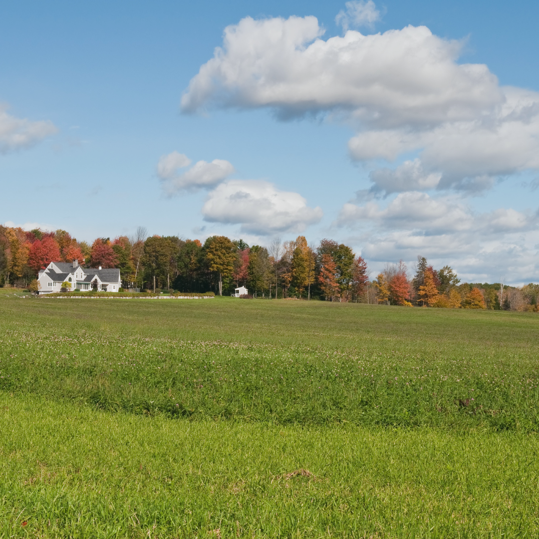 White farmhouse amid vibrant autumn trees under a blue sky with fluffy clouds. Foreground features a vast, green field.