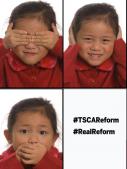 tscareform